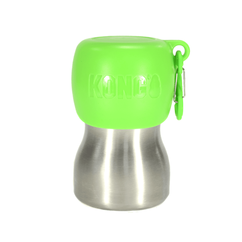 KONG H2O 255 ml rvs waterfles groen