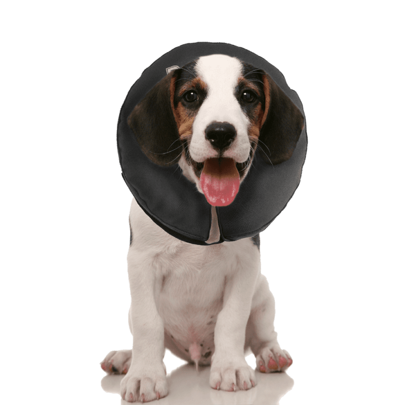 Zenpet ProCollar Honden- Kattenkraag XS