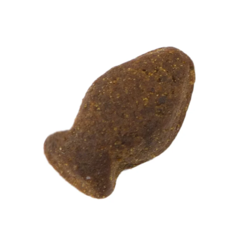 Dog Fish Treat 600gr. - Afbeelding 2