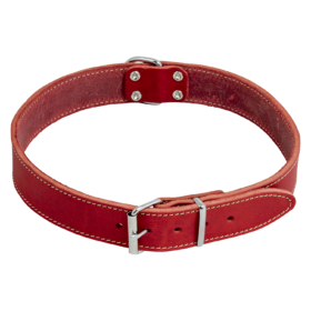 JV VETLEDER Halsband Rood-25mmx55cm