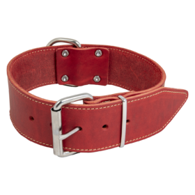 JV VETLEDER Brede Halsband Rood-50mmx65cm