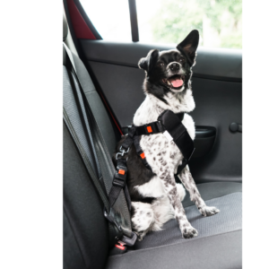 Houd je huisdier veilig en comfortabel tijdens autoritten met onze autoveiligheidsproducten! 🚗🐾 Ontworpen om maximale bescherming en gemoedsrust te bieden, zorgen onze accessoires ervoor dat je harige vriend veilig is terwijl jullie samen van de reis genieten.

Van veiligheidslijnen en gordels tot afscheidingen voor de kofferbak, elk product is ontworpen met de veiligheid en het comfort van je huisdier in gedachten. Onze producten zijn eenvoudig te installeren en verstelbaar, zodat ze op hun plaats blijven, zelfs tijdens lange ritten. Maak van elk autorit een aangename en veilige ervaring voor jou en je harige metgezel!