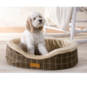 Geef je hond de rust die hij verdient met onze orthopedische hondenbedden! 🛏️🐾 Deze bedden zijn speciaal ontworpen om maximaal comfort en ondersteuning te bieden, vooral voor oudere honden of honden met gewrichts- en botproblemen.

Met traagschuim dat zich aanpast aan het lichaam van je huisdier, helpen onze orthopedische bedden de druk op de gewrichten te verminderen en bieden ze ideale ondersteuning voor een goede houding. Gemaakt van hoogwaardige, duurzame materialen zijn deze bedden bovendien gemakkelijk schoon te maken en te onderhouden. Geef je harige vriend het luxe gevoel van een bed dat zorgt voor zijn gezondheid en welzijn bij elke rust.