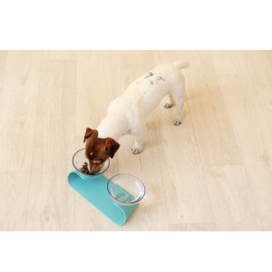 Maak van de maaltijd- en drinkmomenten iets bijzonders voor je hond met onze voer- en drinkbakken! 🍽️🐶 Ontworpen voor maximaal comfort en stijl, zijn onze voer- en drinkbakken perfect voor elke huisdier.

Gemaakt van hoogwaardige materialen, zijn deze bakken stevig en gemakkelijk schoon te maken, zodat je hond van elke maaltijd en slok kan genieten in een veilige en schone omgeving. Verkrijgbaar in verschillende maten en ontwerpen, vind je het perfecte setje dat bij de persoonlijkheid en behoeften van je harige vriend past. Of je nu een antislipvoerbak of een drinkbak zoekt die het water vers houdt, onze producten maken de dagelijkse routine van je huisdier tot een moment van geluk en comfort!