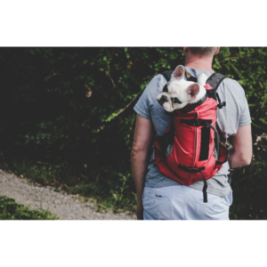 Neem je hond overal mee naartoe met onze handige rugzakken voor honden! 🐾🎒 Ontworpen om je avonturen in de buitenlucht te vergemakkelijken, zijn onze rugzakken perfect voor wandelingen, excursies en reizen, zodat je harige vriend zich bij het plezier kan voegen.

Gemaakt van duurzame en lichte materialen, bieden onze rugzakken comfort voor zowel jou als je huisdier. Met een ergonomisch ontwerp en verstelbare riemen zorgen ze voor een veilige en comfortabele pasvorm, ongeacht de grootte van je hond. Bovendien hebben ze ruime compartimenten om zijn traktaties, speelgoed en andere essentiële accessoires mee te nemen. Maak van elk avontuur een onvergetelijke ervaring en laat je harige maatje de wereld verkennen met onze veelzijdige rugzakken voor honden!