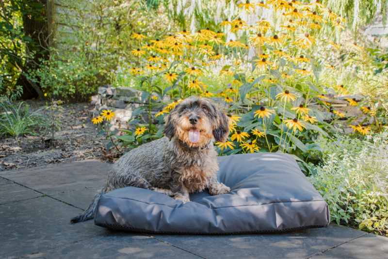 Let's Sleep Cushy Cloud Hondenkussen Buiten M Antraciet - Afbeelding 2