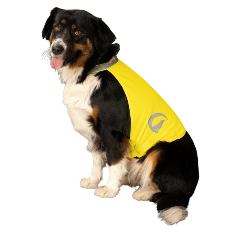 Nightwalk Dog Safety Vest Yellow Small - Afbeelding 2