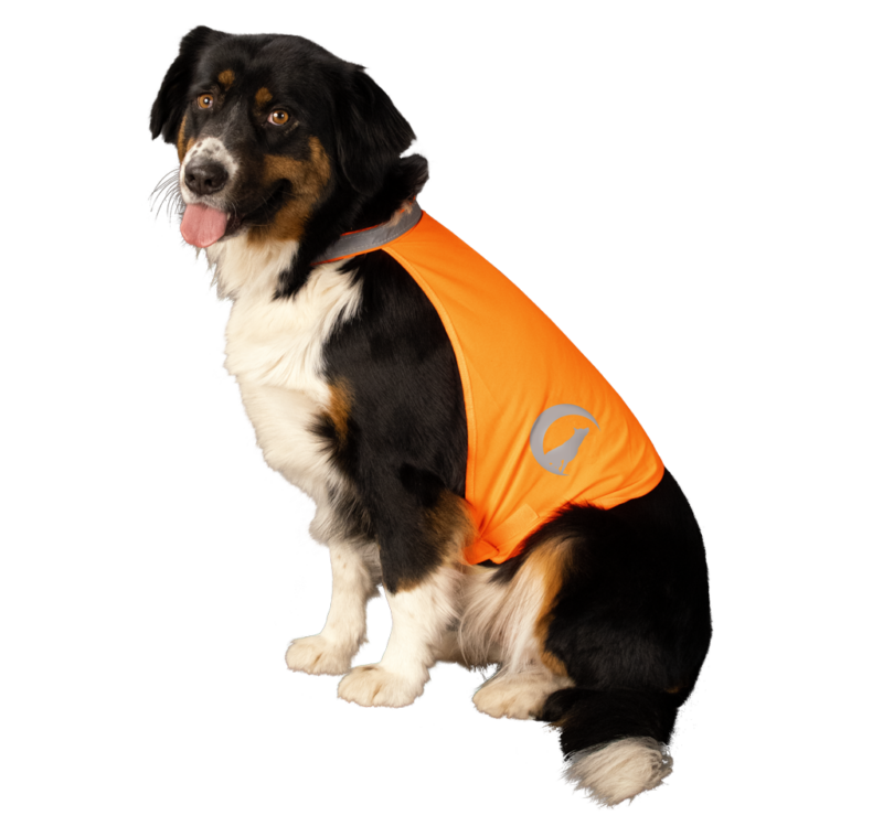 Nightwalk Dog Safety Vest Orange Small - Afbeelding 2